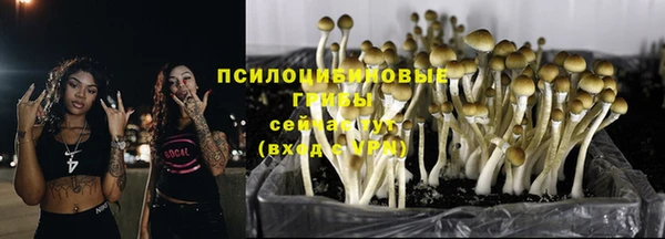 apvp Володарск