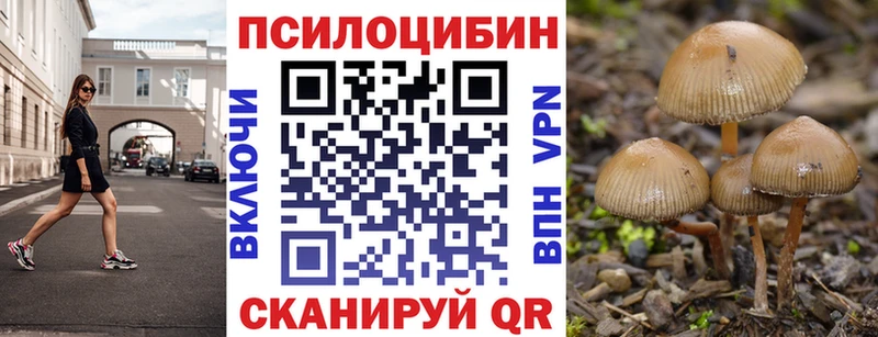 сайты даркнета наркотические препараты Новохопёрск Галлюциногенные грибы Cubensis